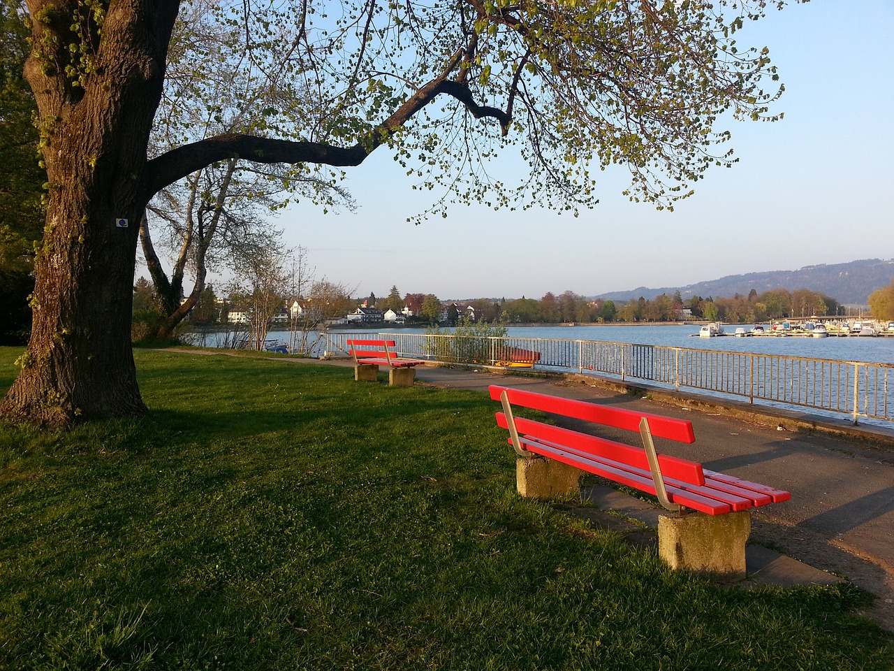 力又有适应 力又有适应