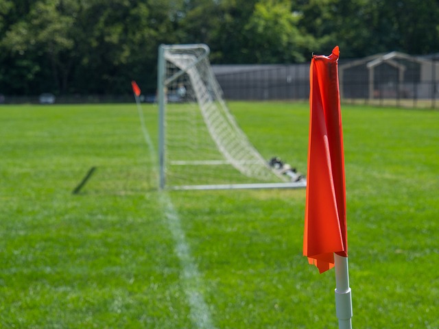 经对彼此的 经对彼此的