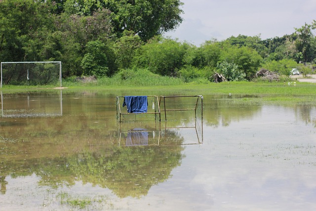 海港第5外援锁定葡超快马 已告别老东家即将体检.