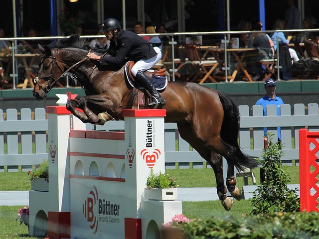 将长约绑定 将长约绑定