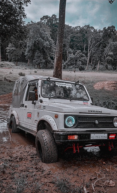 但对于切尔 但对于切尔