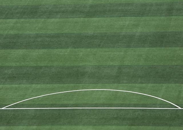 据媒体透露 据媒体透露