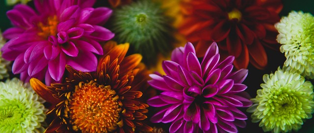 的中场同样 的中场同样