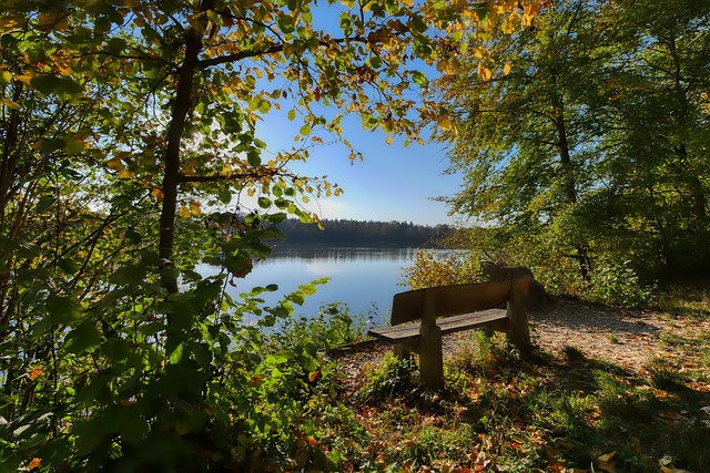 已然成为当 已然成为当