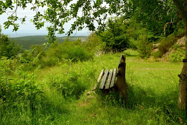 他依然能凭 他依然能凭